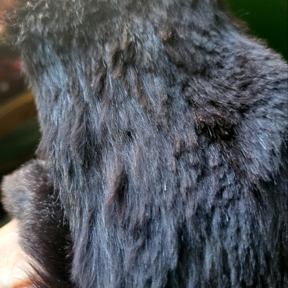 Extra Long Dark Milk Chocolate Rabit fur Scraf.